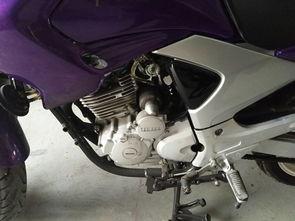 摩托车视频大全视频,驾驭激情，畅游速度与激情的世界