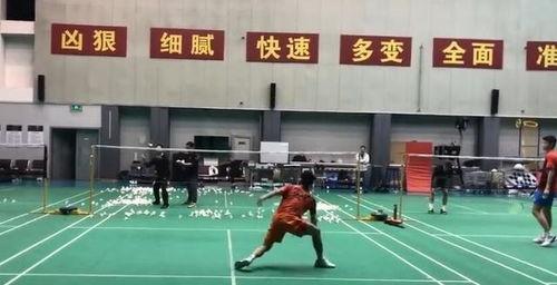 羽毛球训练视频,技巧提升与实战演练