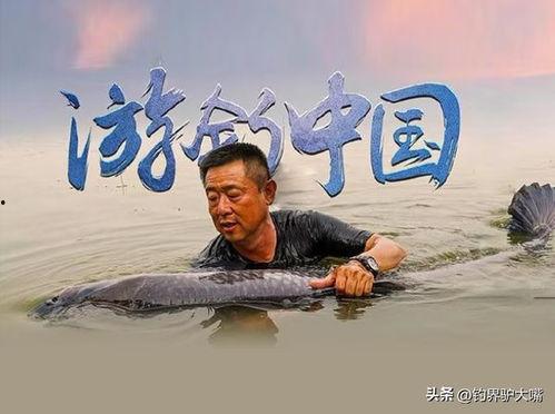 李大毛钓鱼视频大全,揭秘钓鱼高手独门技巧