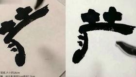 毛笔书法入门教学视频,跟随教学视频轻松掌握基本技巧