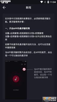 视频 识别,[视频主题]深度解析