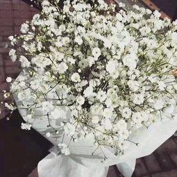 满天星视频,揭秘满天星视频的魅力