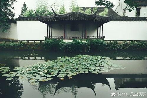 拙政园视频,穿越江南园林的古典画卷