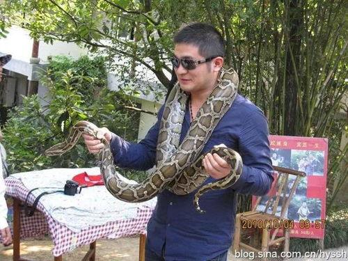 蛇岛视频,惊心动魄的生态奇观