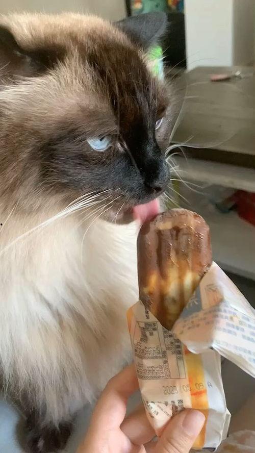 吃冰淇淋的视频,冰淇淋美味瞬间捕捉