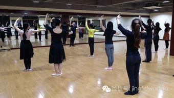 国标舞教学视频,舞步技巧与风格演绎