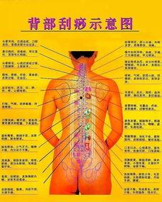 后背刮痧视频,轻松缓解疲劳，焕发健康活力