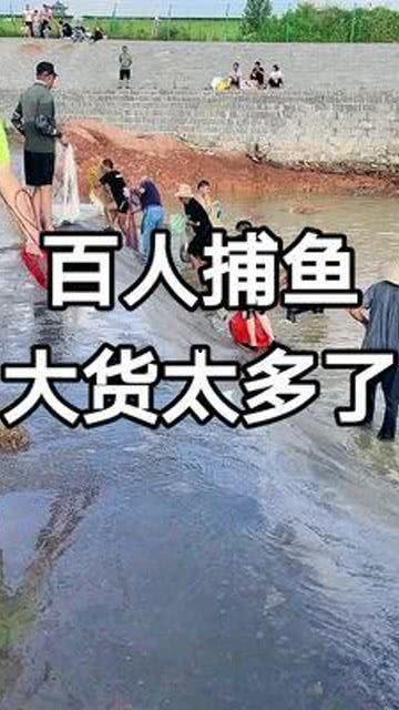 撒网捕鱼视频,渔夫的智慧与自然的和谐共舞
