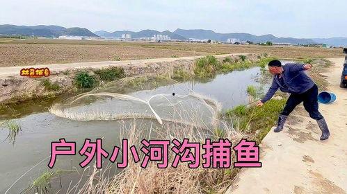 撒网捕鱼视频,渔夫的智慧与自然的和谐共舞