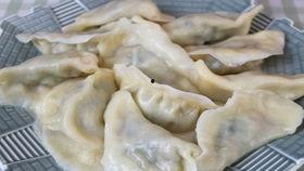 饺子做法视频教程,饺子制作视频教程，轻松掌握家常美味