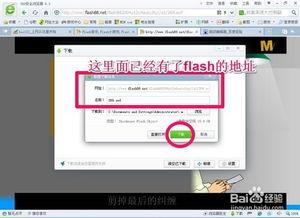 flash 视频下载,轻松获取精彩内容