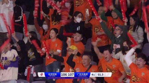 绝杀视频,揭秘视频中的惊心动魄一幕