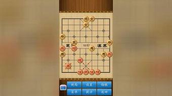 象棋的视频,象棋视频中的经典对决解析