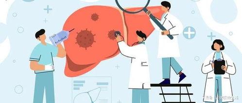 乙肝视频,从传播途径到预防措施
