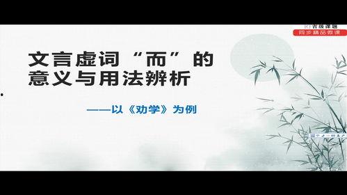 语文 视频,视频中的文字魅力之旅