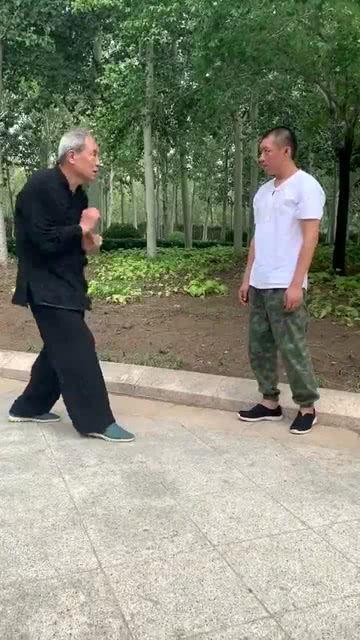 通背拳视频,传统武术的流畅与力量之美