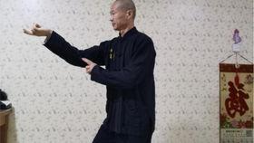 通背拳视频,传统武术的流畅与力量之美