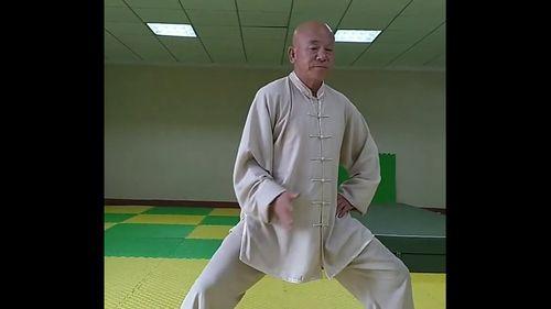 通背拳视频,传统武术的流畅与力量之美
