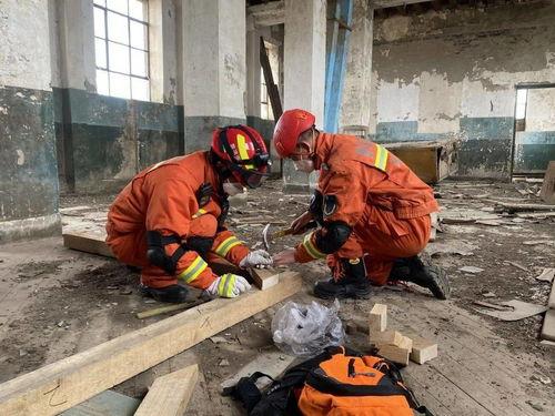 地震演练视频,模拟应对，筑牢生命安全防线