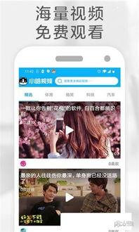哈视频,揭秘短视频时代的魅力与挑战