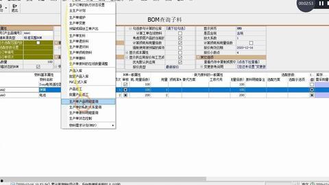 erp视频,视频内容精粹概述