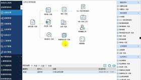 erp视频,视频内容精粹概述