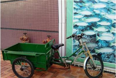 水电动三轮车维修视频,水电动车型故障排查与维修技巧