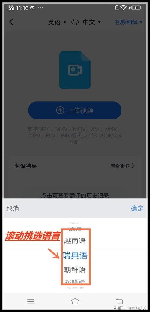 视频翻译成中文,跨文化沟通的艺术