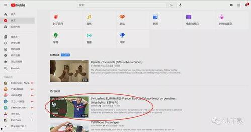 视频翻译成中文,跨文化沟通的艺术