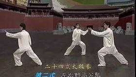 24式太极视频,领略传统武术魅力，体验身心和谐之道