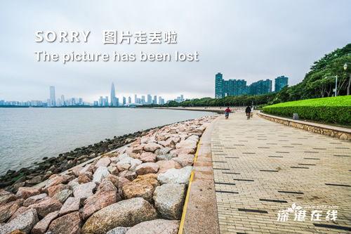激情摸胸视频,揭秘摸胸视频背后的故事