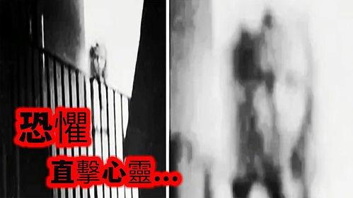 猎奇视频在线观看,在线观看背后的惊悚世界