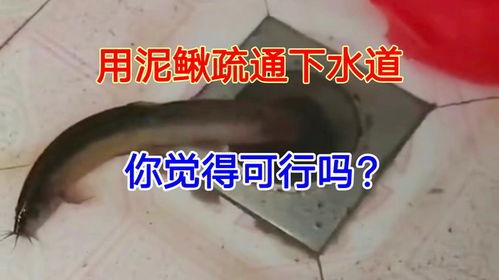 疏通下水道视频,视频教你轻松解决堵塞烦恼