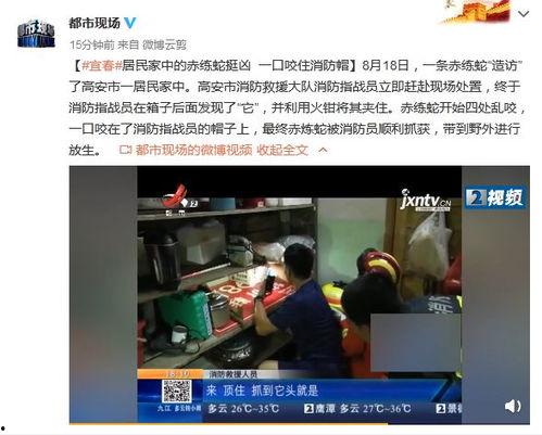 口咬视频,捕捉生活趣味瞬间