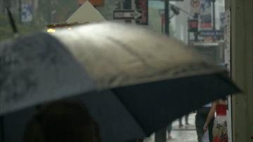 小雨的视频,探秘日常生活瞬间