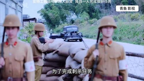 女特务视频,视频中的神秘身影与惊心动魄的故事