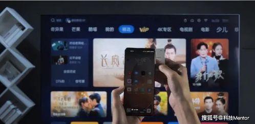 s1视频,揭秘其背后的精彩故事与独特魅力