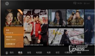 四四视频,揭秘热门话题背后的真相与观点