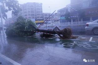 台风视频实拍,惊心动魄的自然力量瞬间