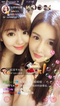 主播视频在线播放,在线直播的魅力瞬间