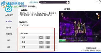 mv视频软件,MV视频软件深度解析