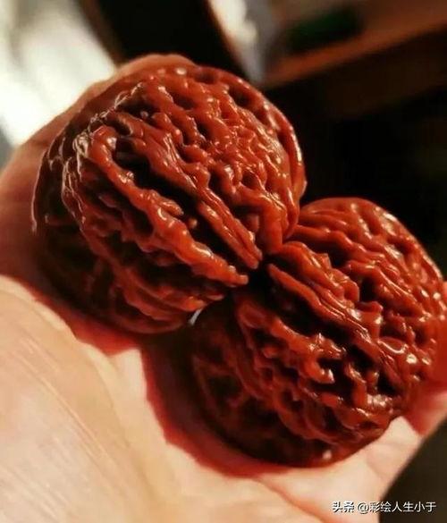 文玩核桃视频,揭秘文玩核桃的魅力与收藏价值
