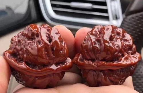 文玩核桃视频,揭秘文玩核桃的魅力与收藏价值
