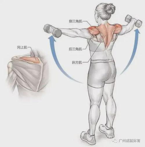 练肩视频,跟随视频轻松打造完美肩部线条