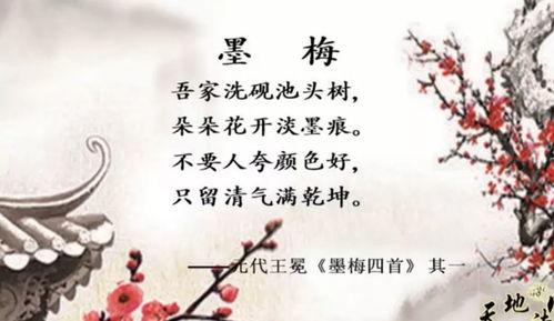 墨梅视频,探寻传统水墨艺术的魅力与传承