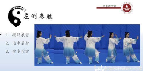太极十六式教学视频,动静结合，养生之道