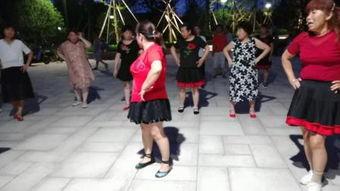 广场舞蹈教学视频,轻松入门，舞动健康生活