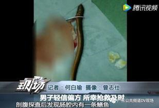 大黄鳝视频,探寻水底美食传奇