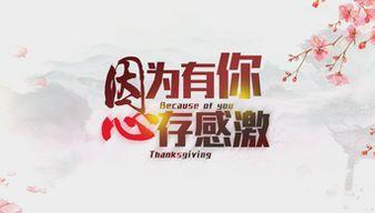 感恩节的视频