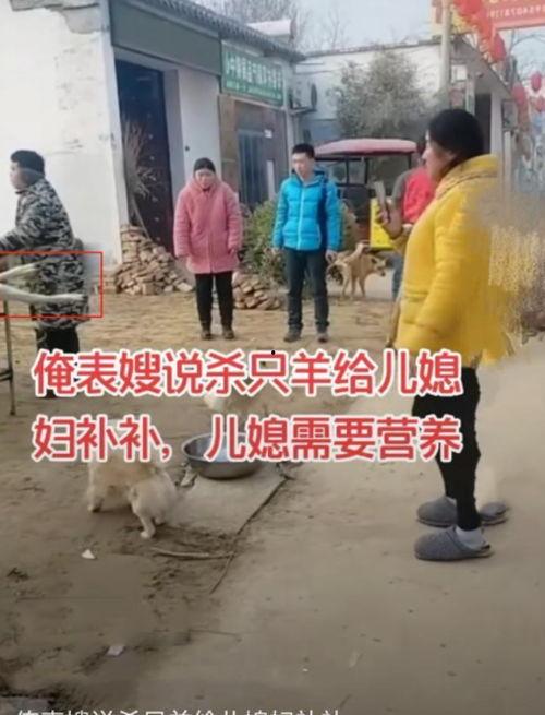 宰羊视频,揭秘宰羊视频背后的残酷真相